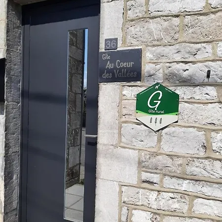 Au Coeur Des Vallees Dom wakacyjny Couvin